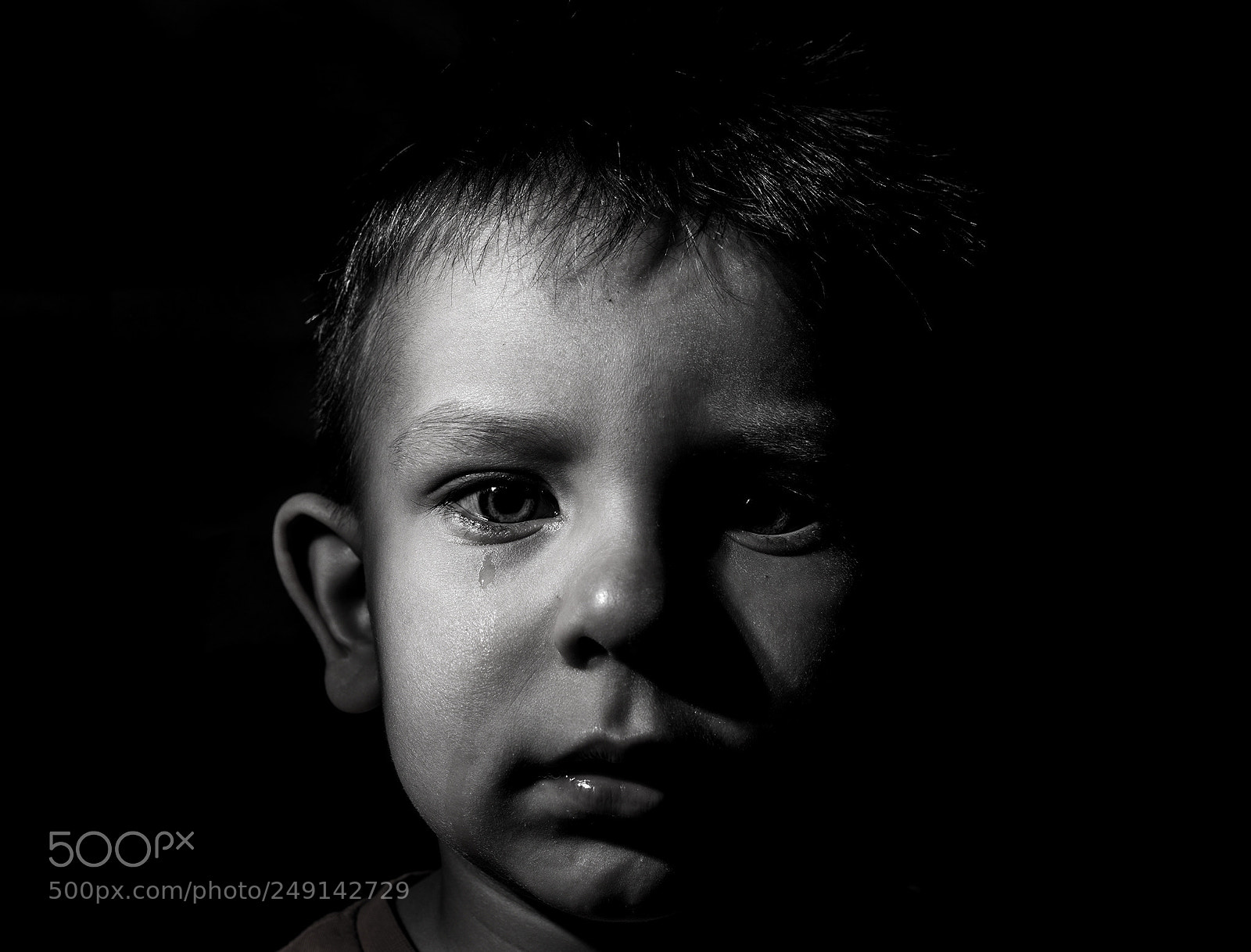 Nikon D600 sample photo. Untitled photography