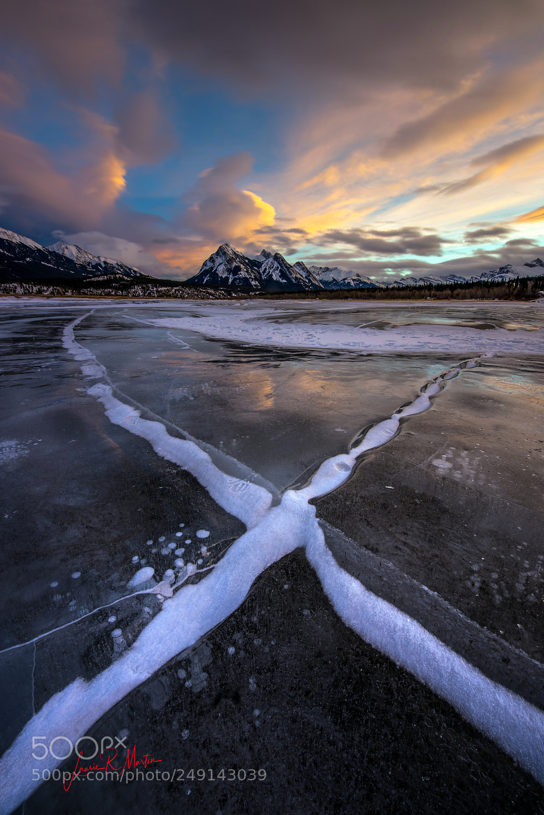 Nikon D810 sample photo. "x marks the spot"" photography