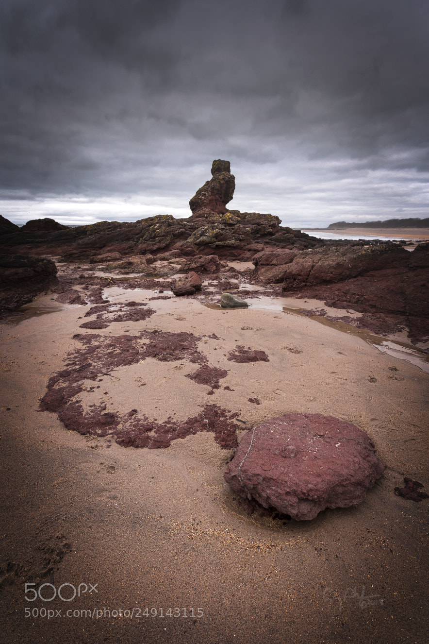 Canon EOS 6D sample photo. Rocks on seacliff beach photography