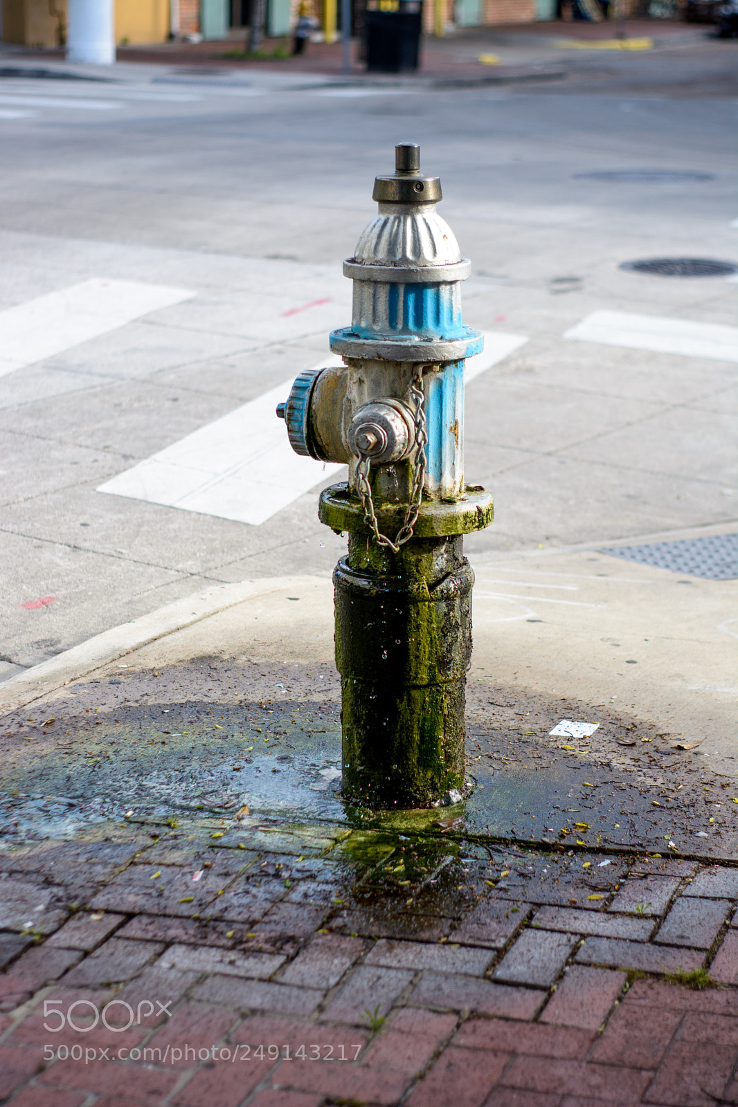 Nikon D5200 sample photo. Sunk cost photography