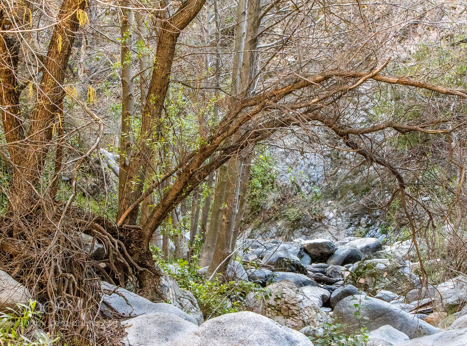 Canon EOS 7D Mark II sample photo. _g9a9078-3.jpg photography