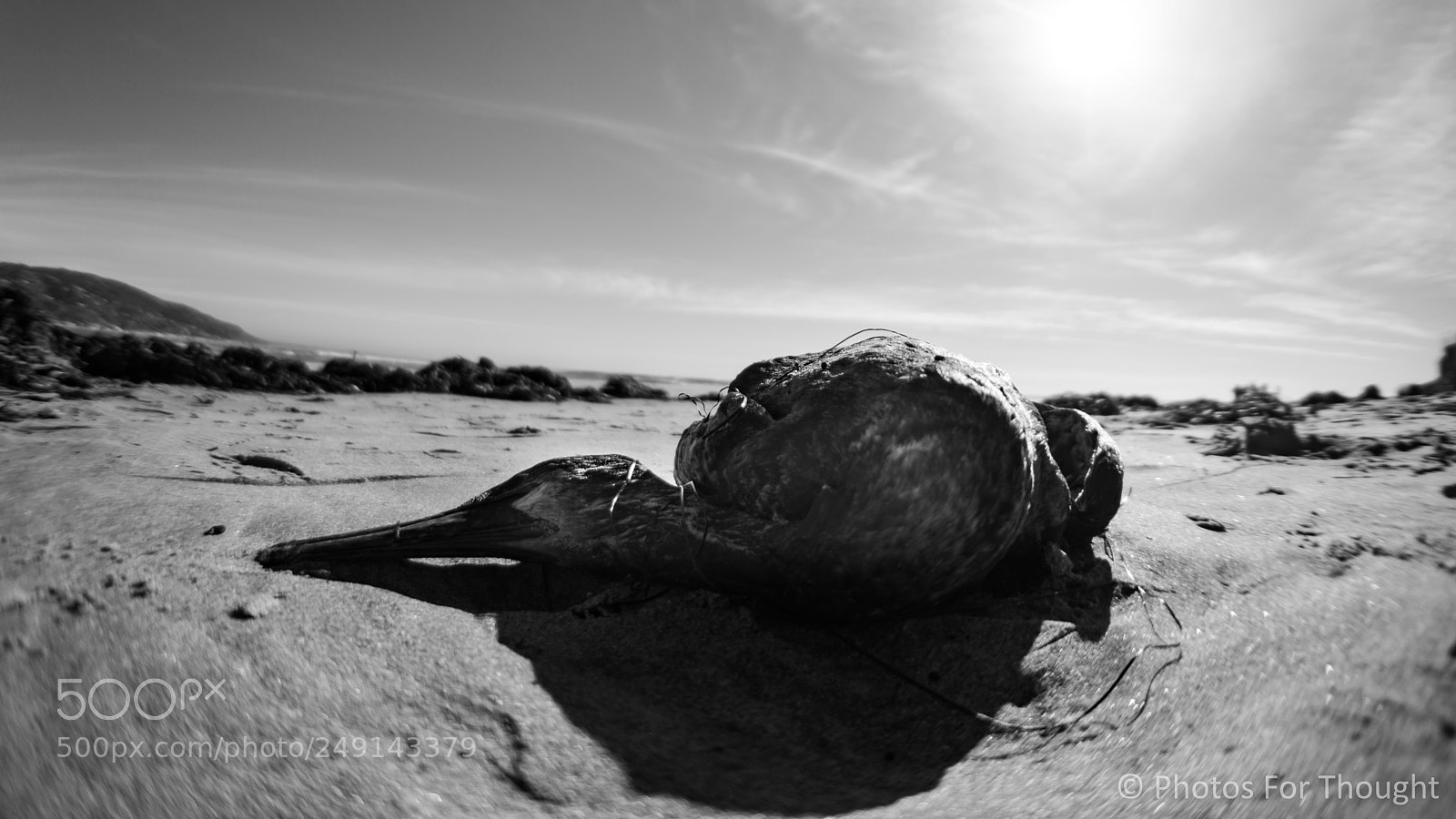 Sony Alpha NEX-5R sample photo. Decay photography