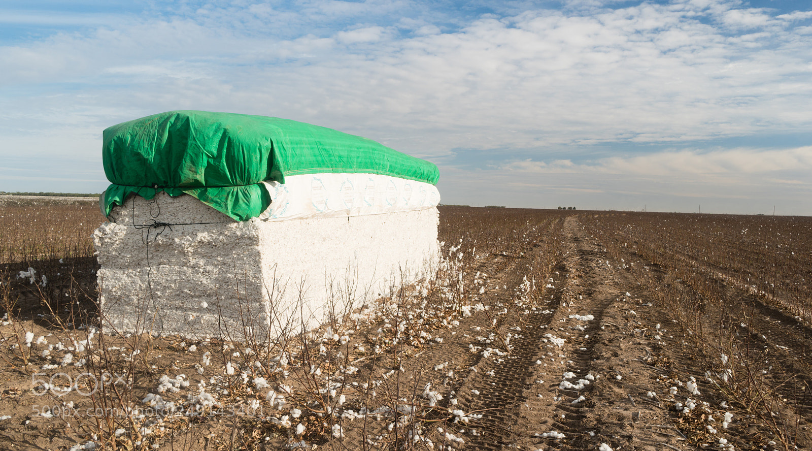 Sony a6300 sample photo. Bale of cotton farm photography