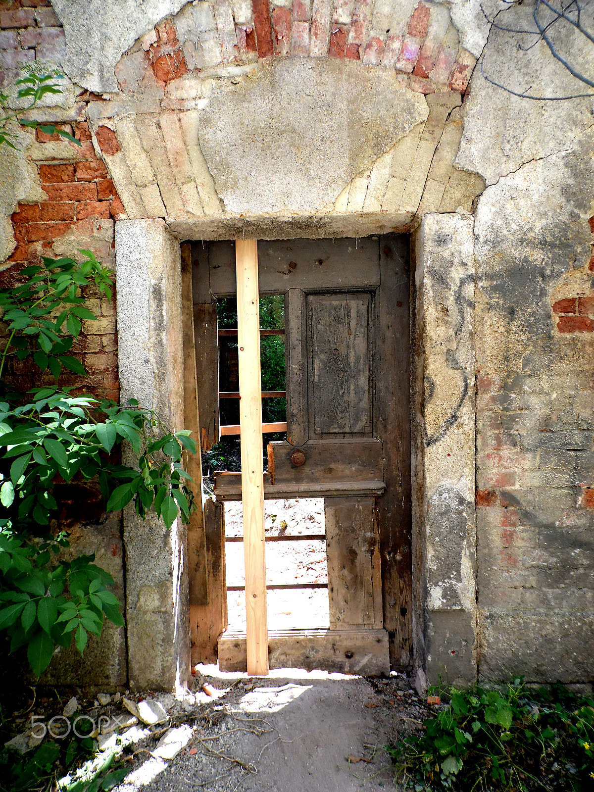 Samsung WB100/  WB101 sample photo. Door photography