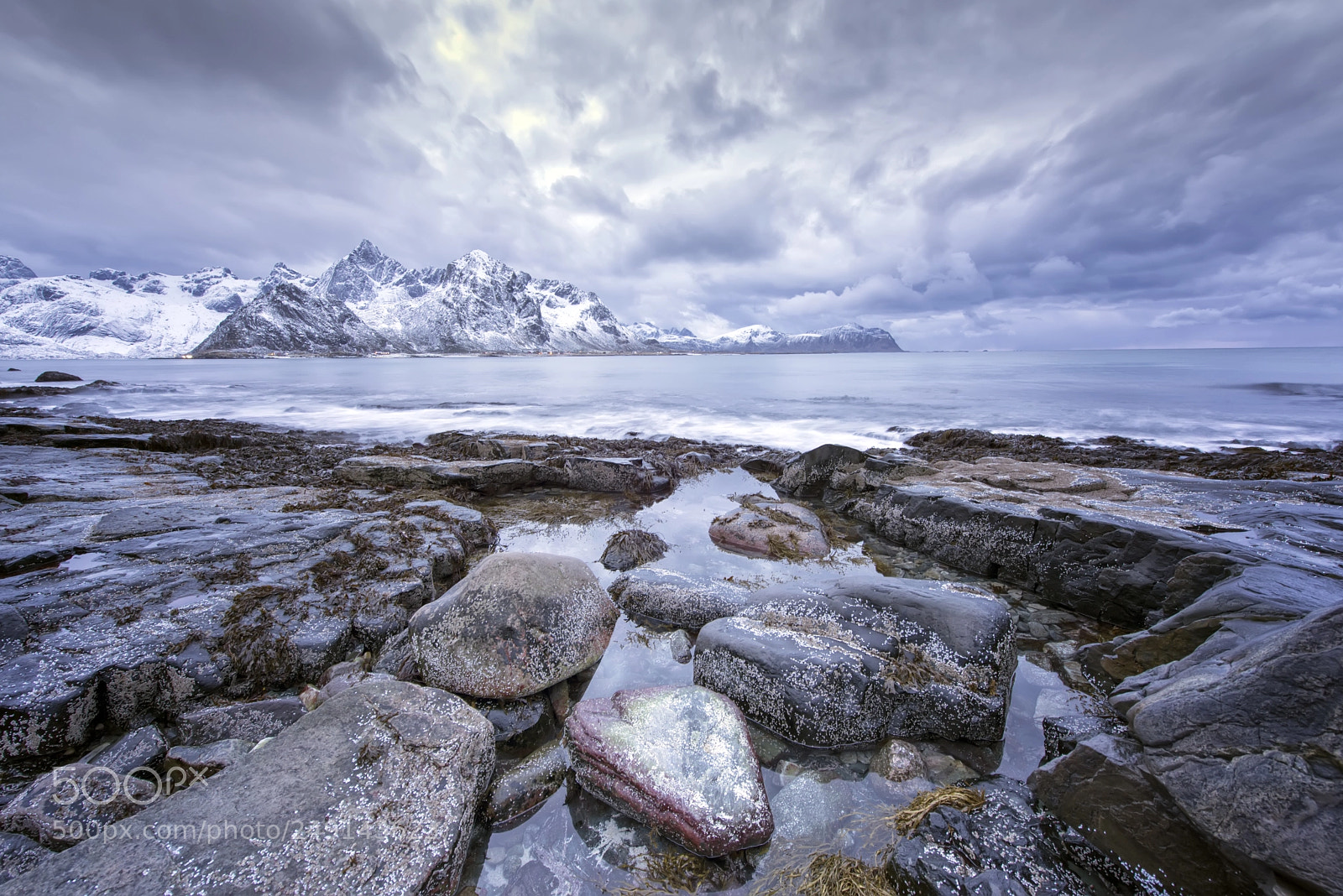 Nikon D610 sample photo. Wild sea photography