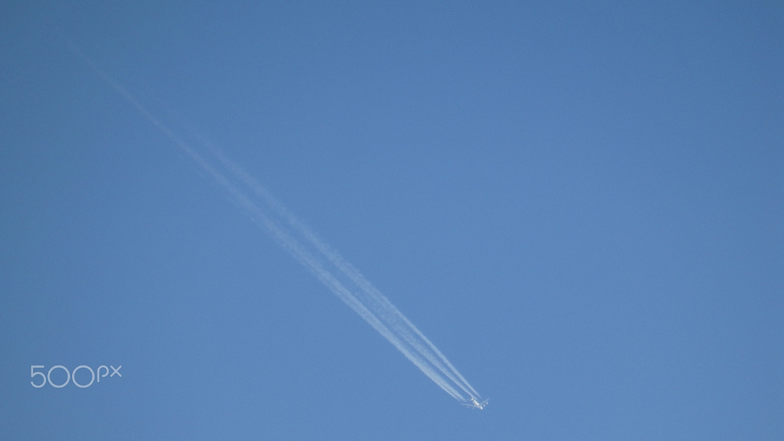 Olympus SZ-16,DZ-105 sample photo. Flying high photography