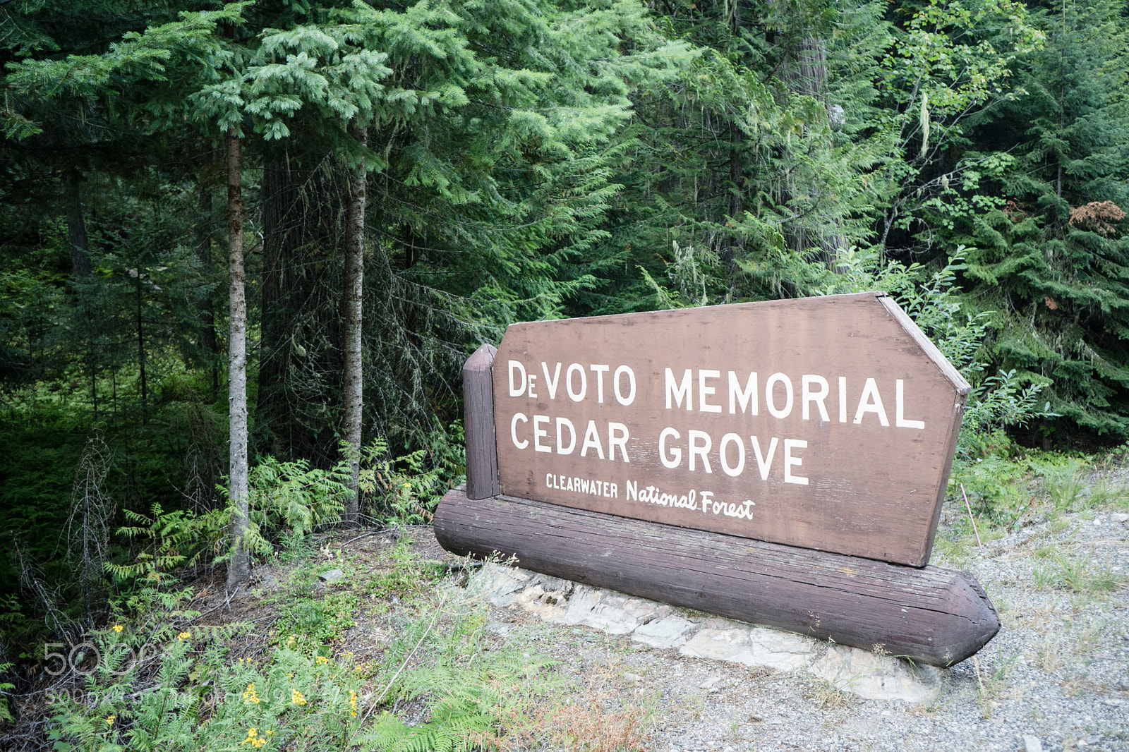 Sony a6300 sample photo. Devoto memorial cedar grove photography