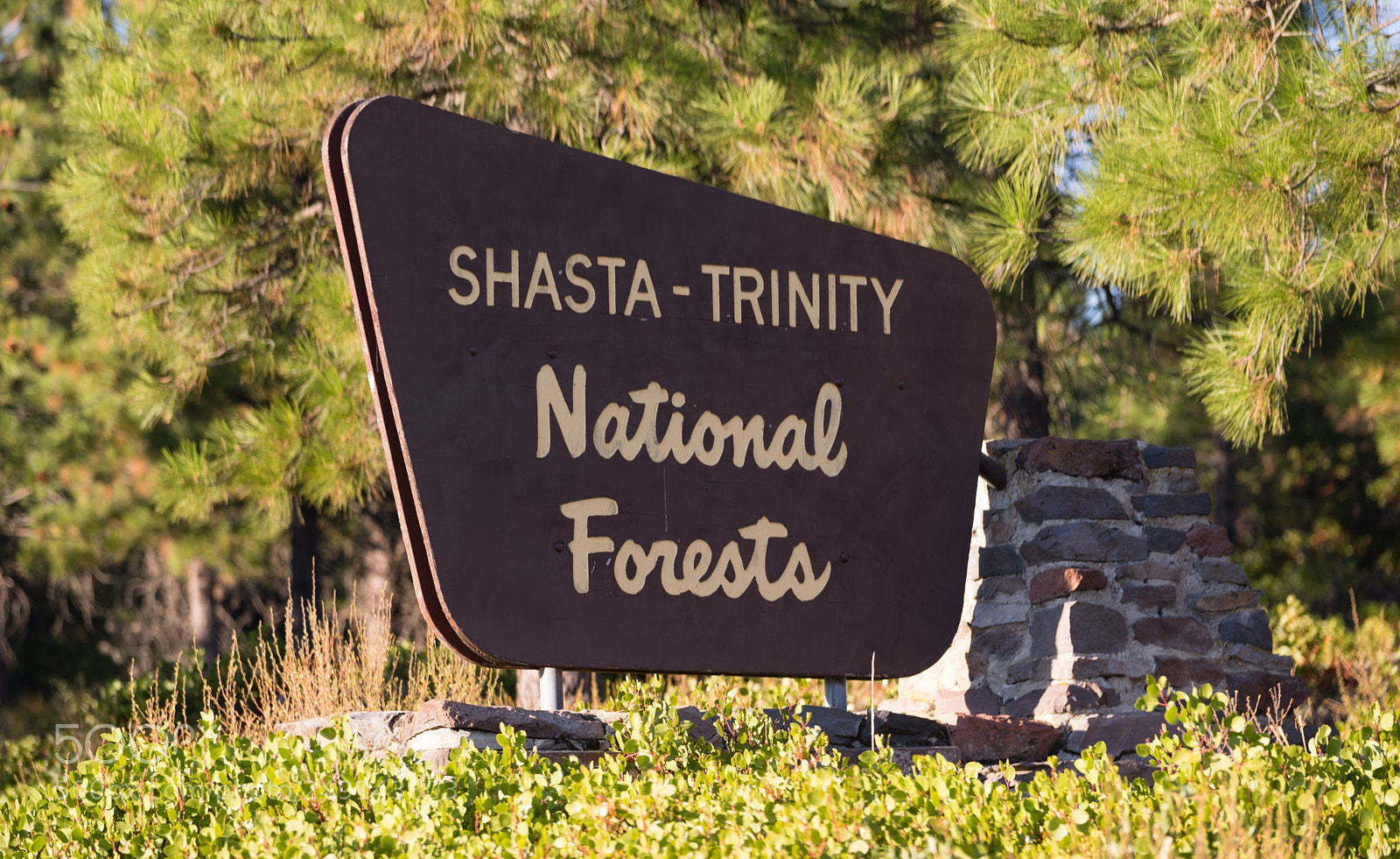 Sony a7 sample photo. Shasta trinity national forest photography