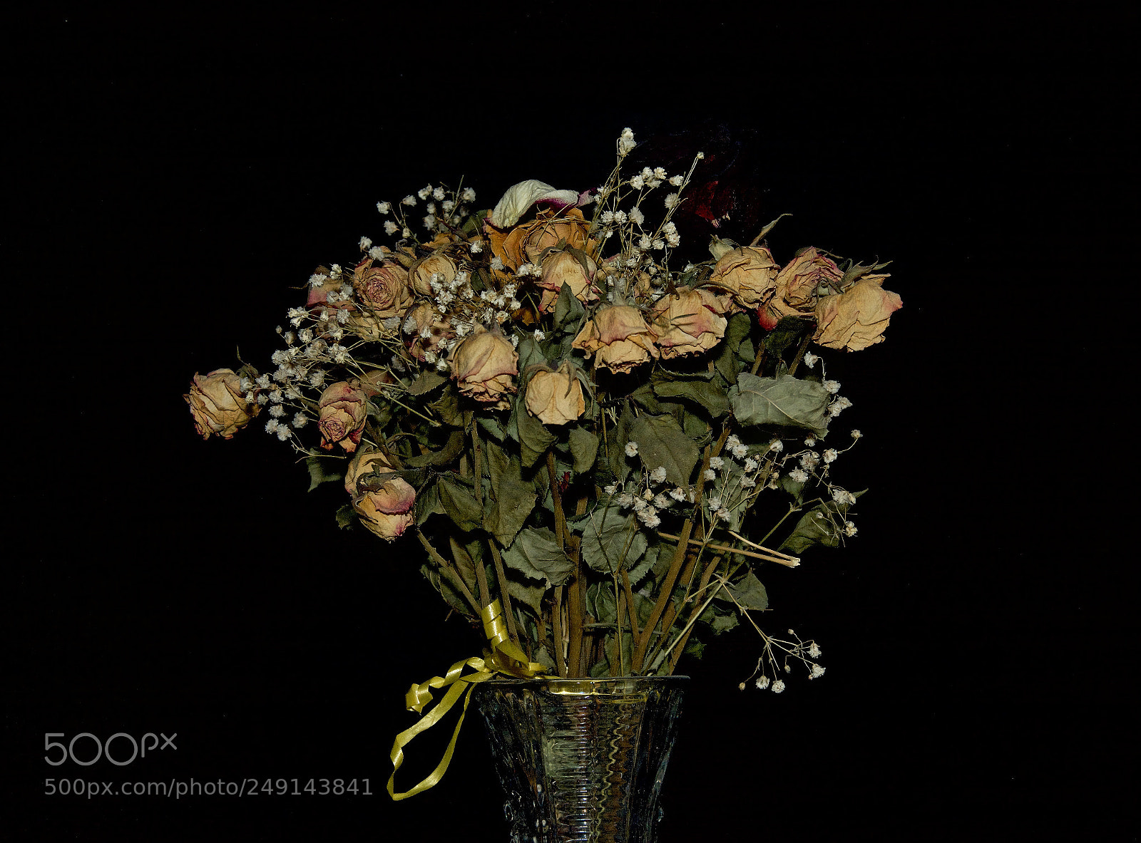 Nikon D7100 sample photo. 988_0098.jpg photography