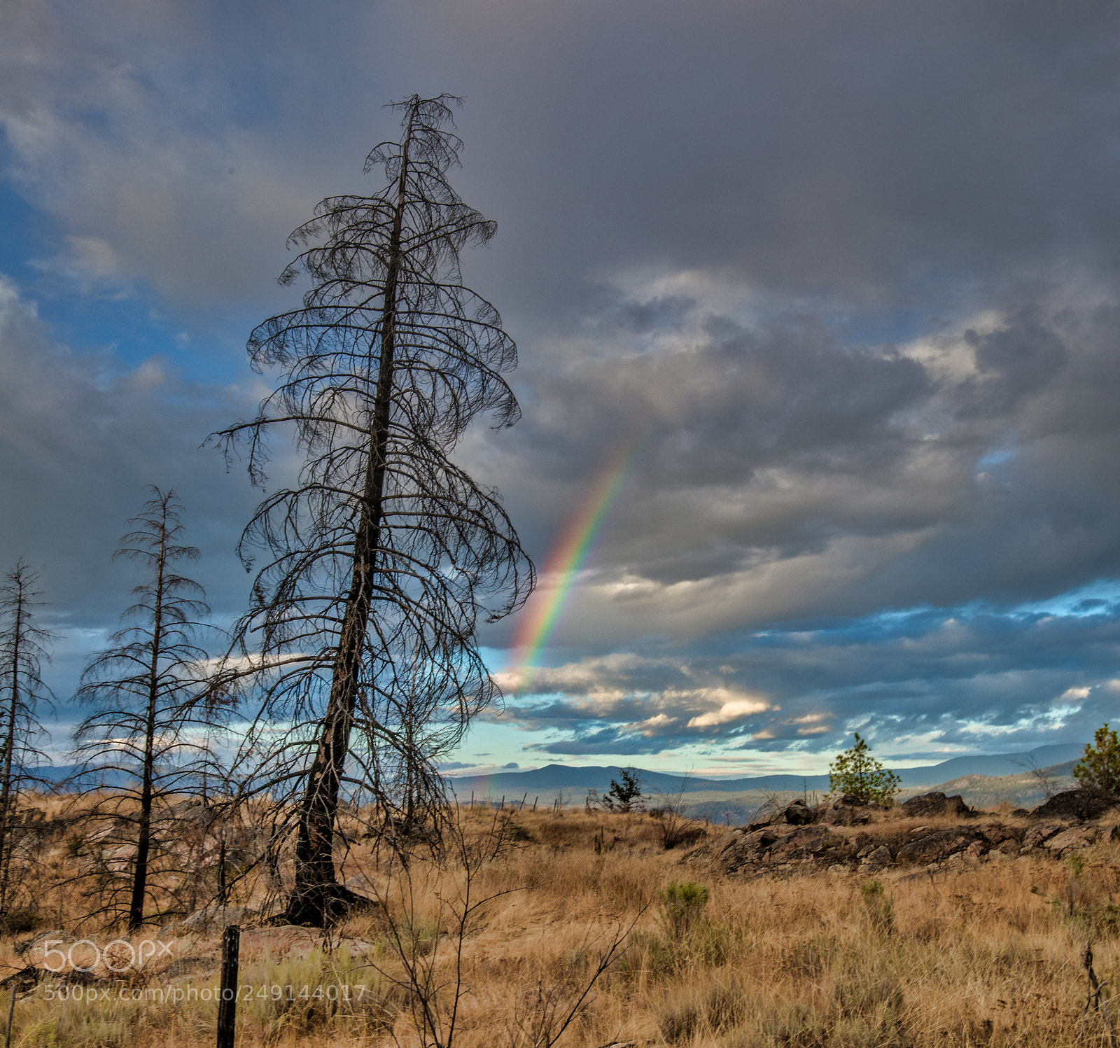 Canon EOS 5D Mark IV sample photo. Rainbow osooyos bc canada photography