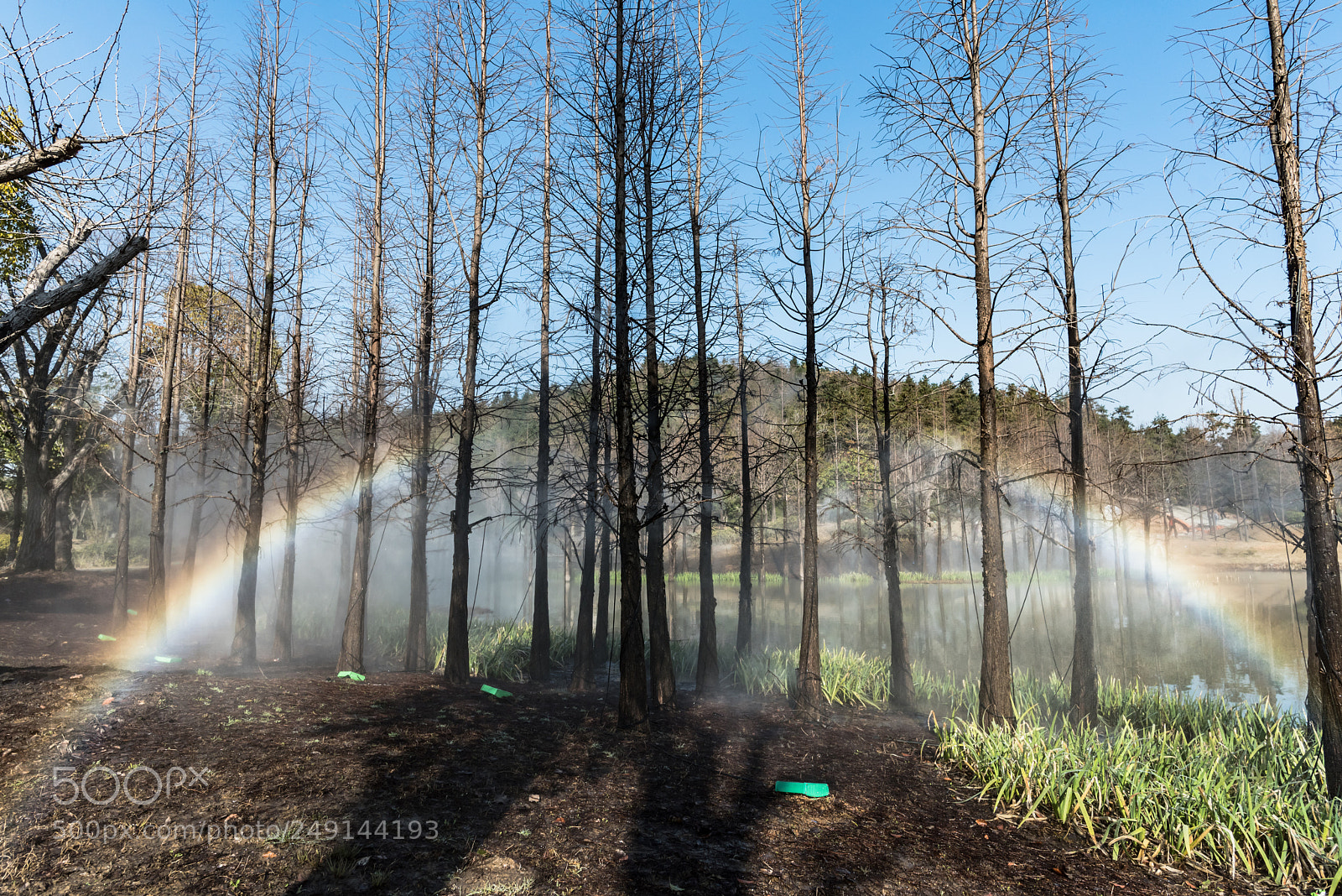 Nikon D750 sample photo. Artificial rainbow photography