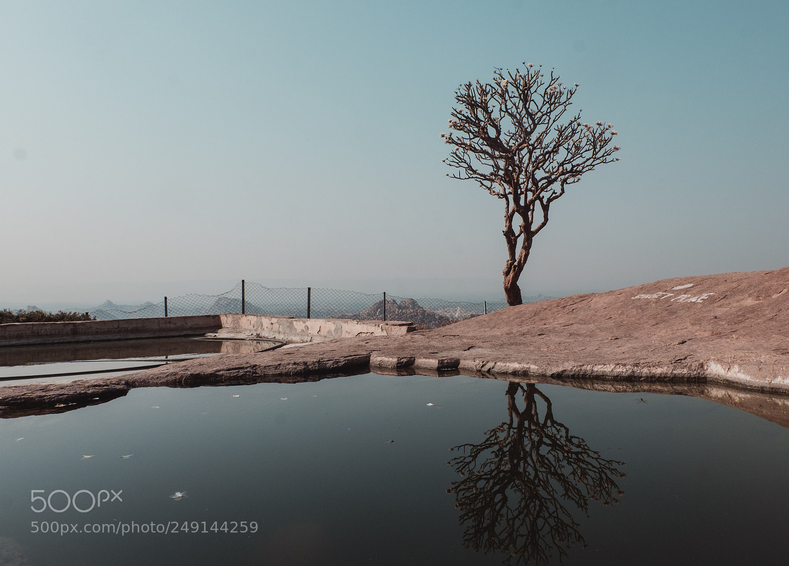 Fujifilm X-T10 sample photo. Tree photography