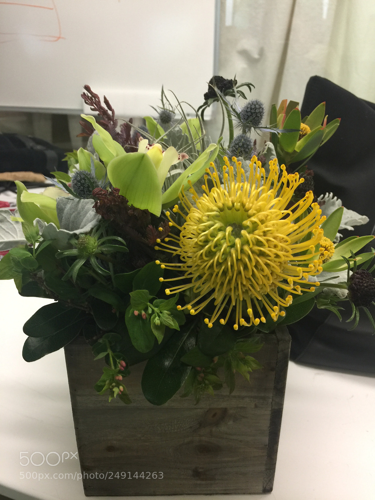 Apple iPhone 6 Plus sample photo. Flowers photography