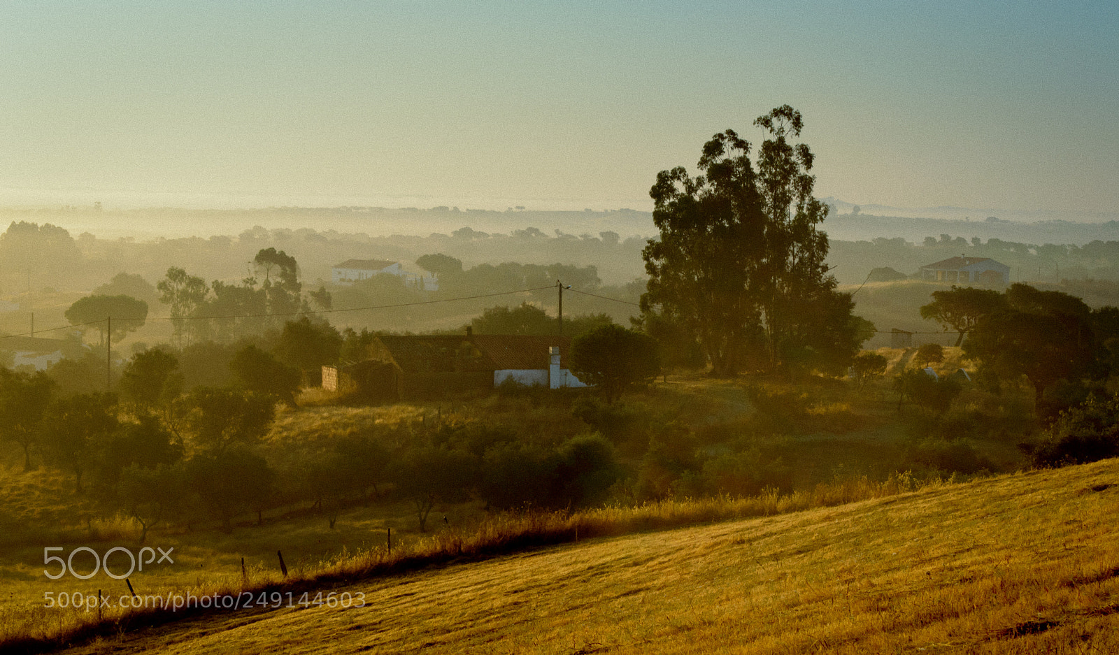 Nikon D3200 sample photo. Misty morning photography