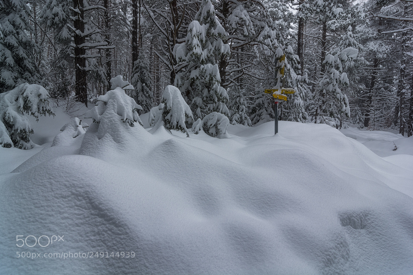 Nikon D7100 sample photo. Guidepost photography