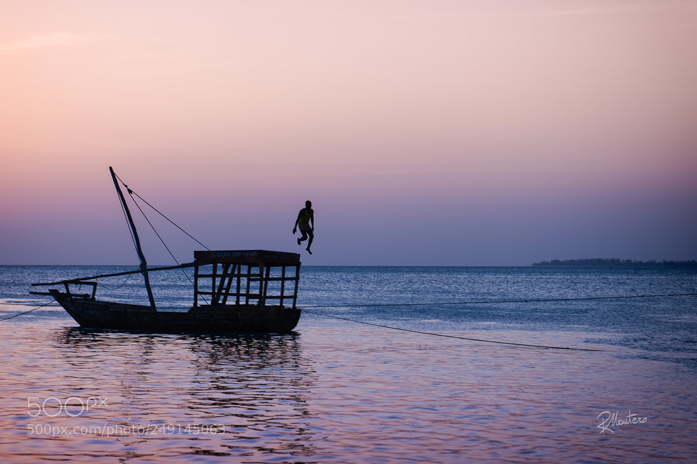 Nikon D800 sample photo. Dive into the sunset photography