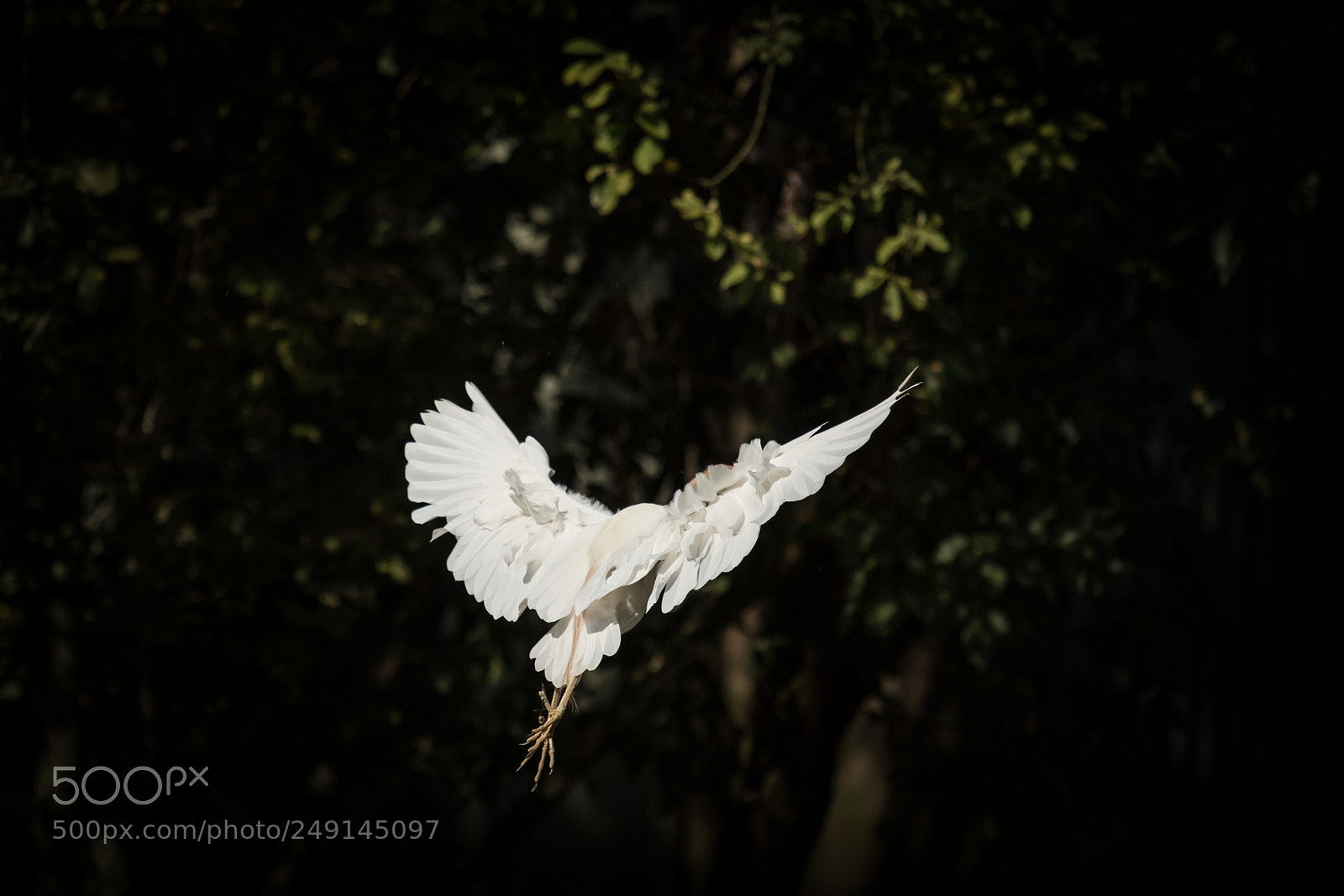 Canon EOS 7D Mark II sample photo. Auf und davon photography