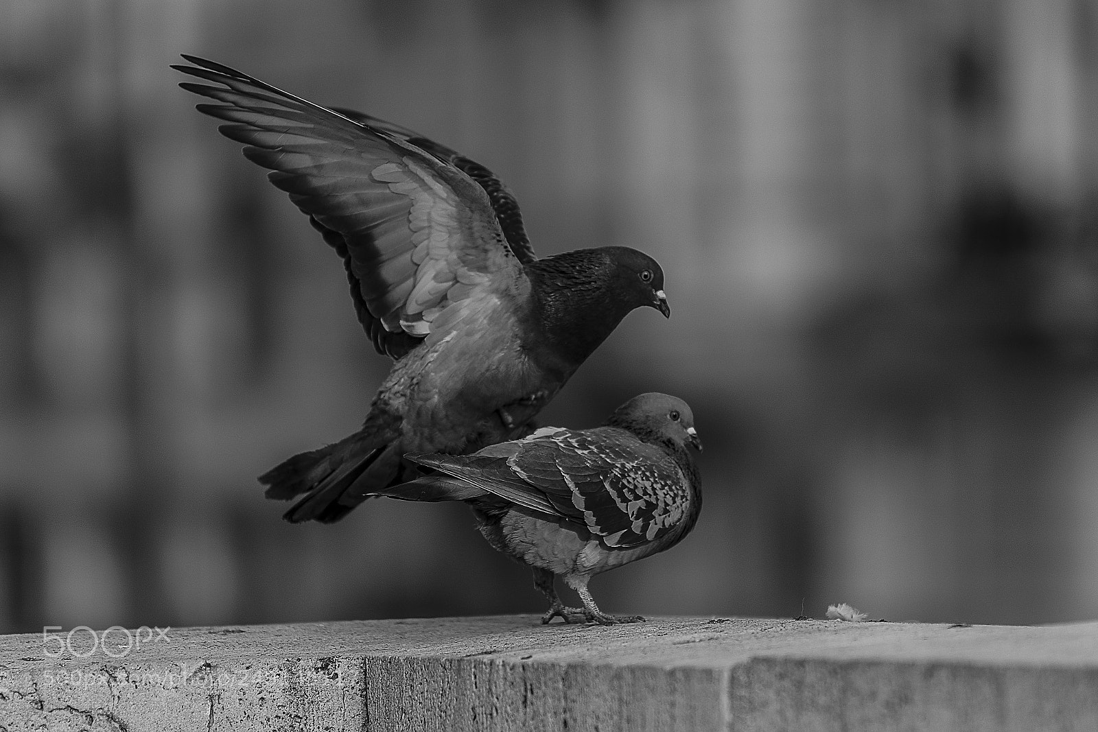 Nikon D7100 sample photo. Dirty dancing photography
