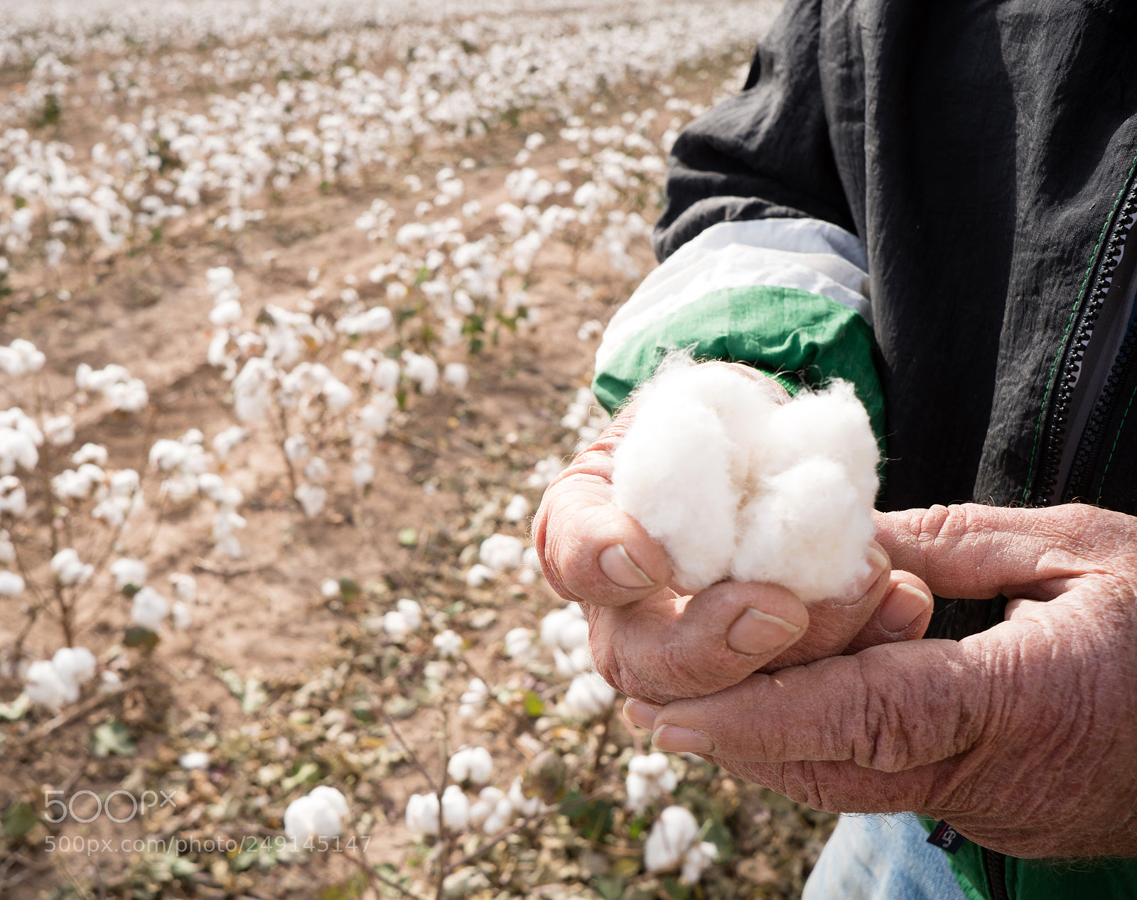 Sony a6300 sample photo. Farmer's weather hands hold photography