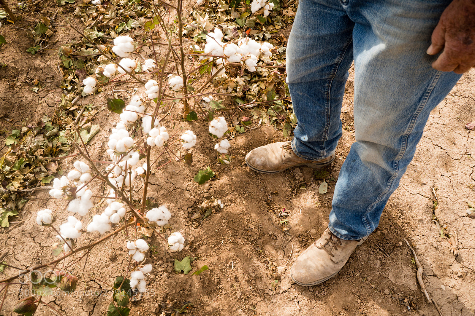 Sony a6300 sample photo. Farmer's feet boots brown photography