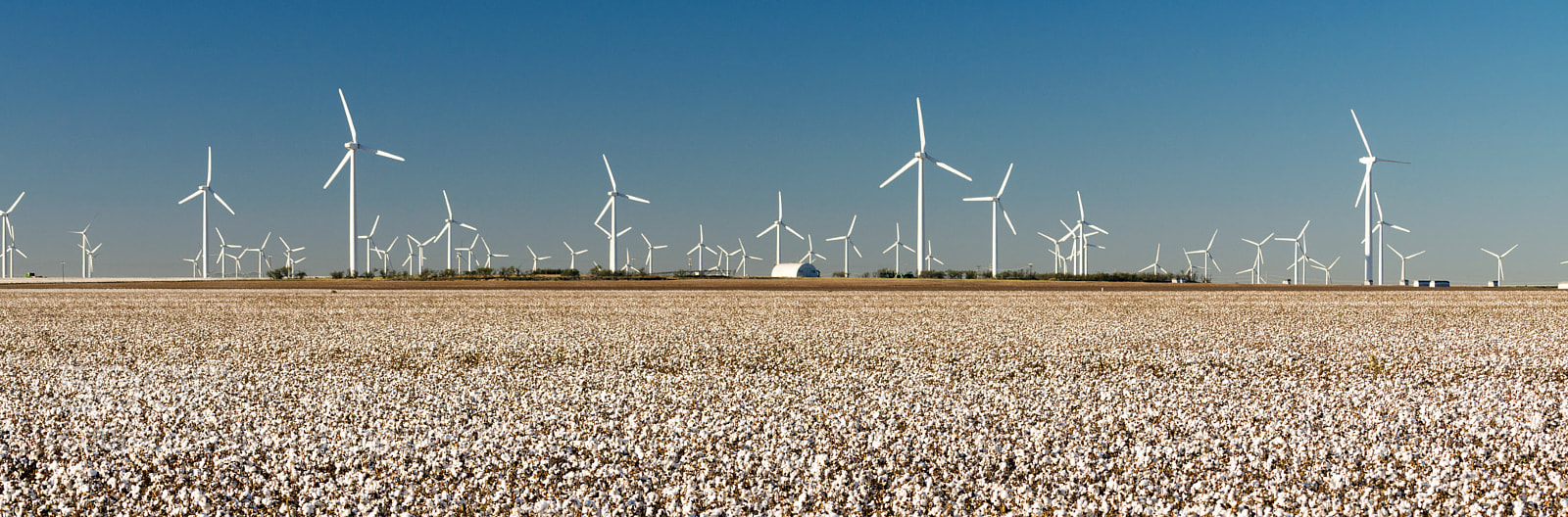 Sony a7 sample photo. Wind turbines alternative energy photography
