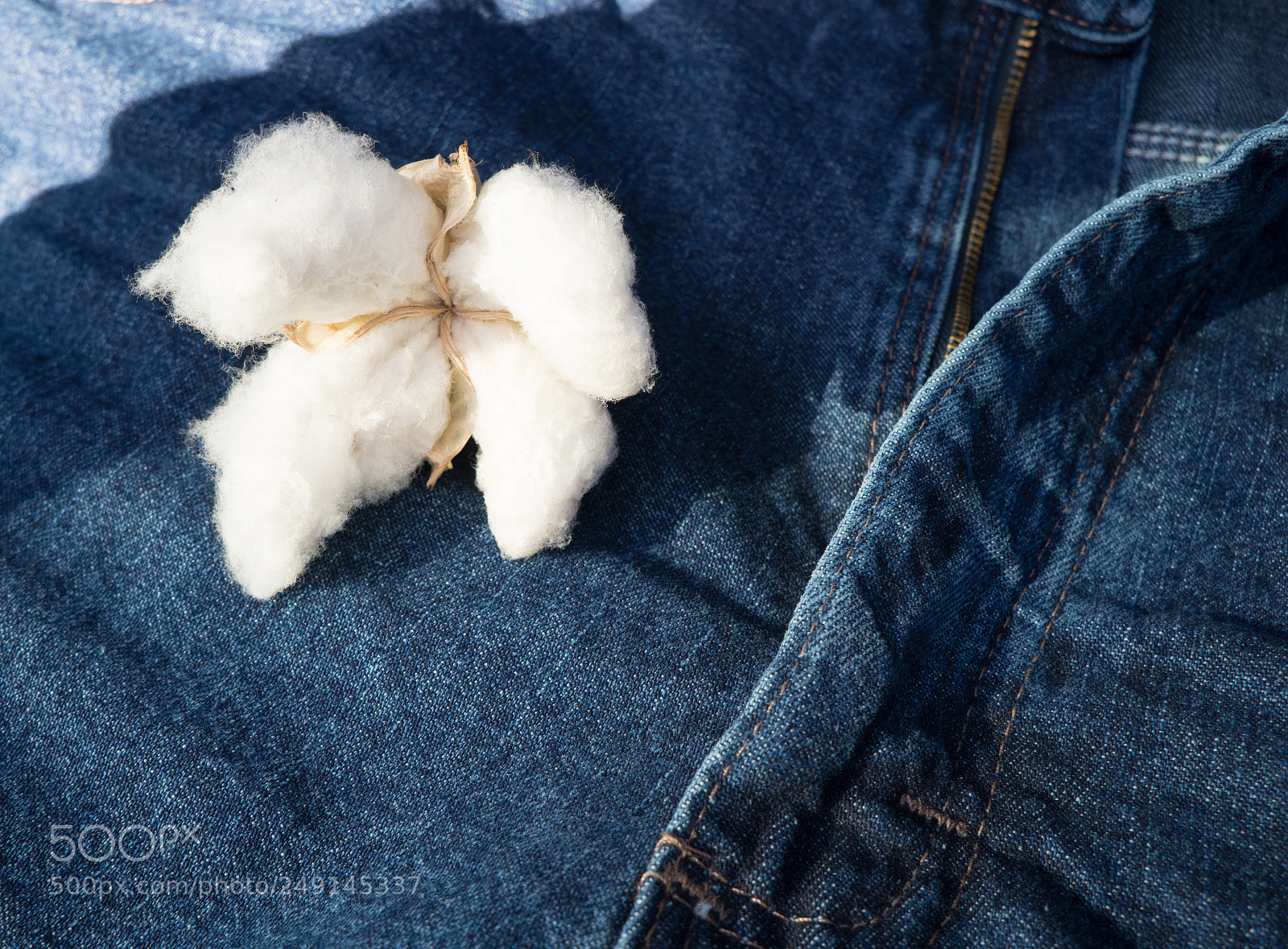 Sony a6300 sample photo. Cotton sitting on blue photography