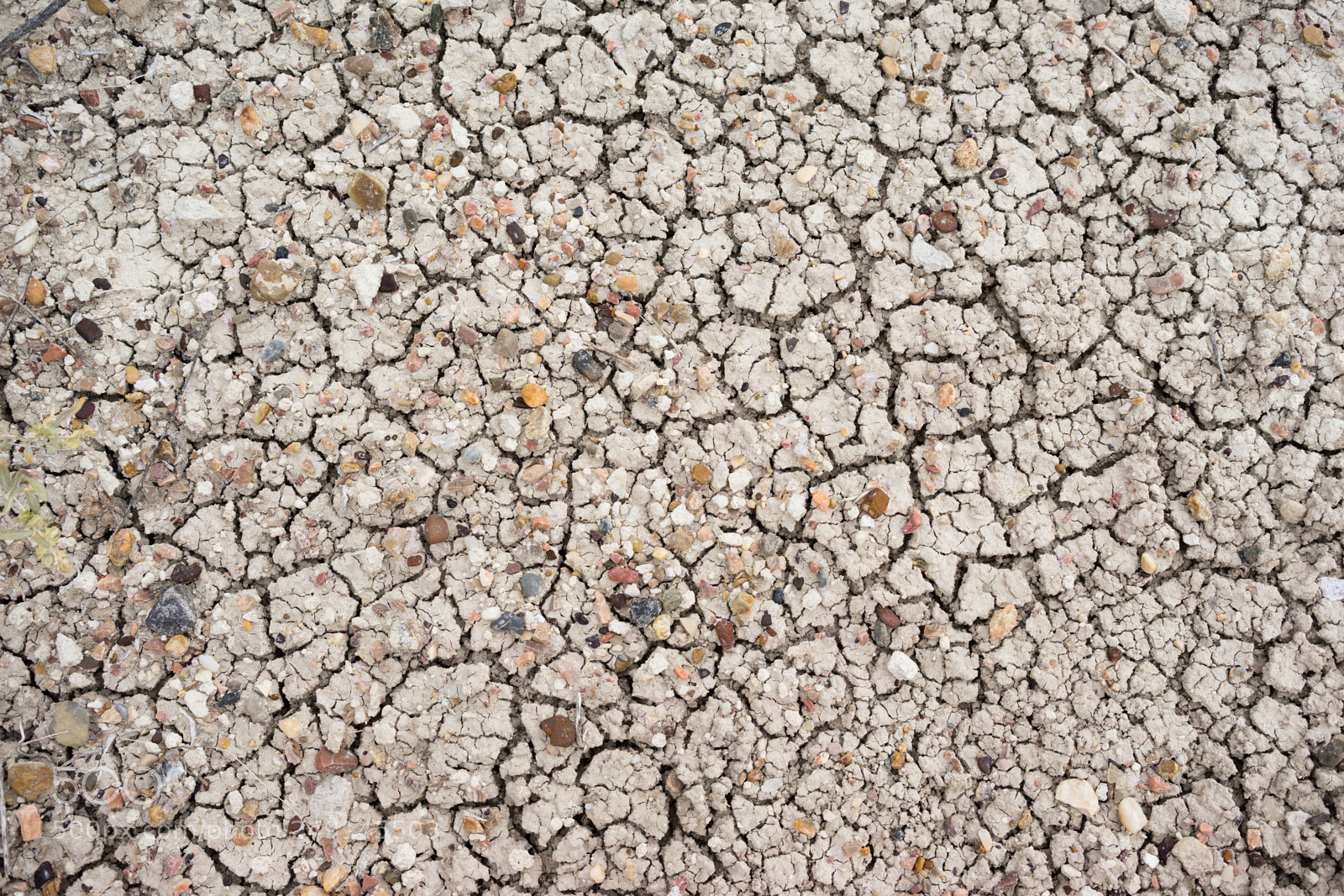 Sony a7 sample photo. Sun baked ground gravel photography