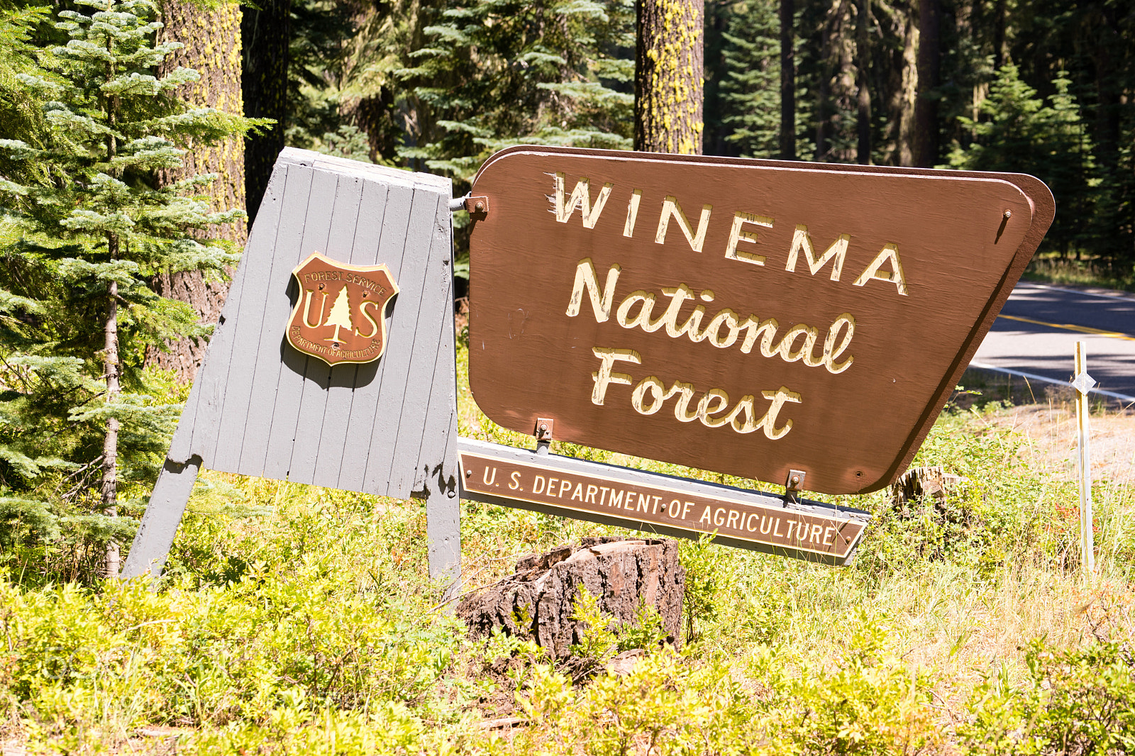 Sony a7 sample photo. National forest sign boundary photography