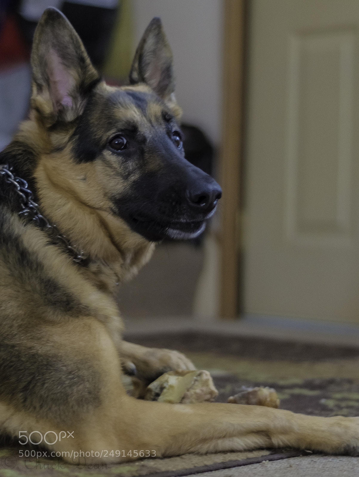 Nikon D3200 sample photo. Dont bother me photography