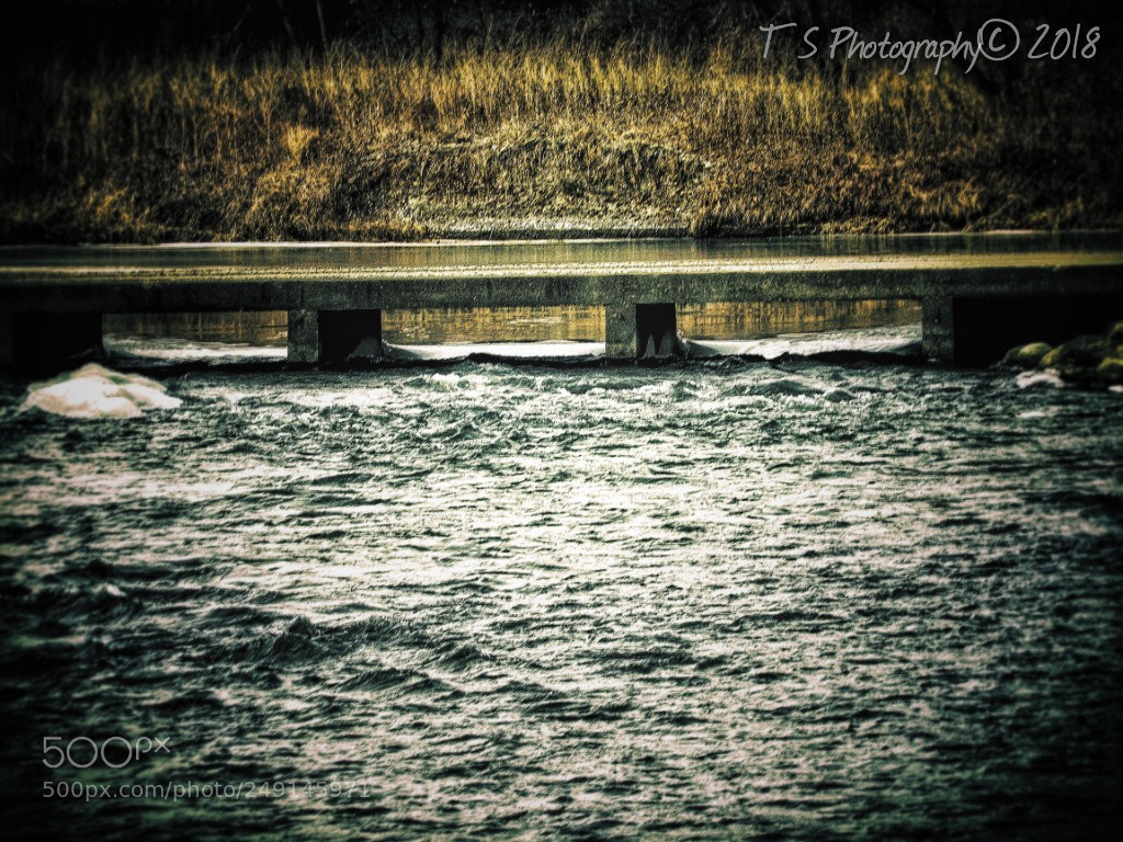 Canon PowerShot SX530 HS sample photo. Untitled photography