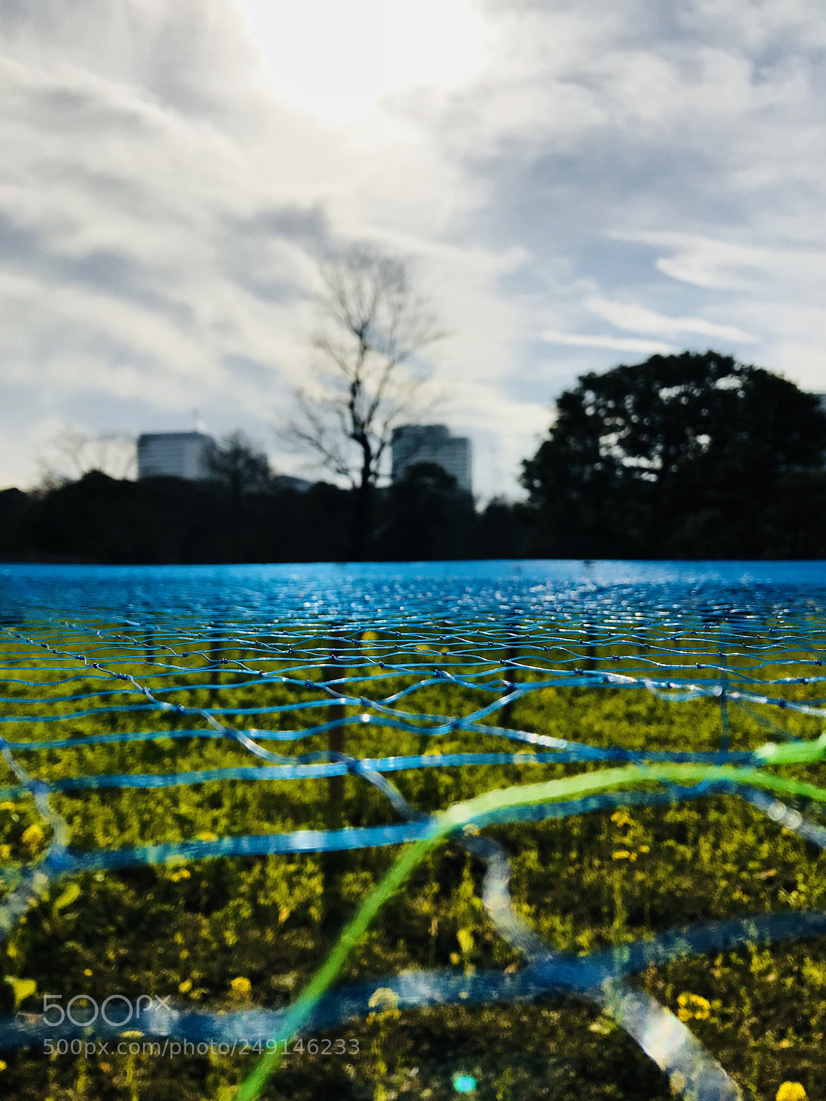 Apple iPhone 7 sample photo. Japan gardens photography