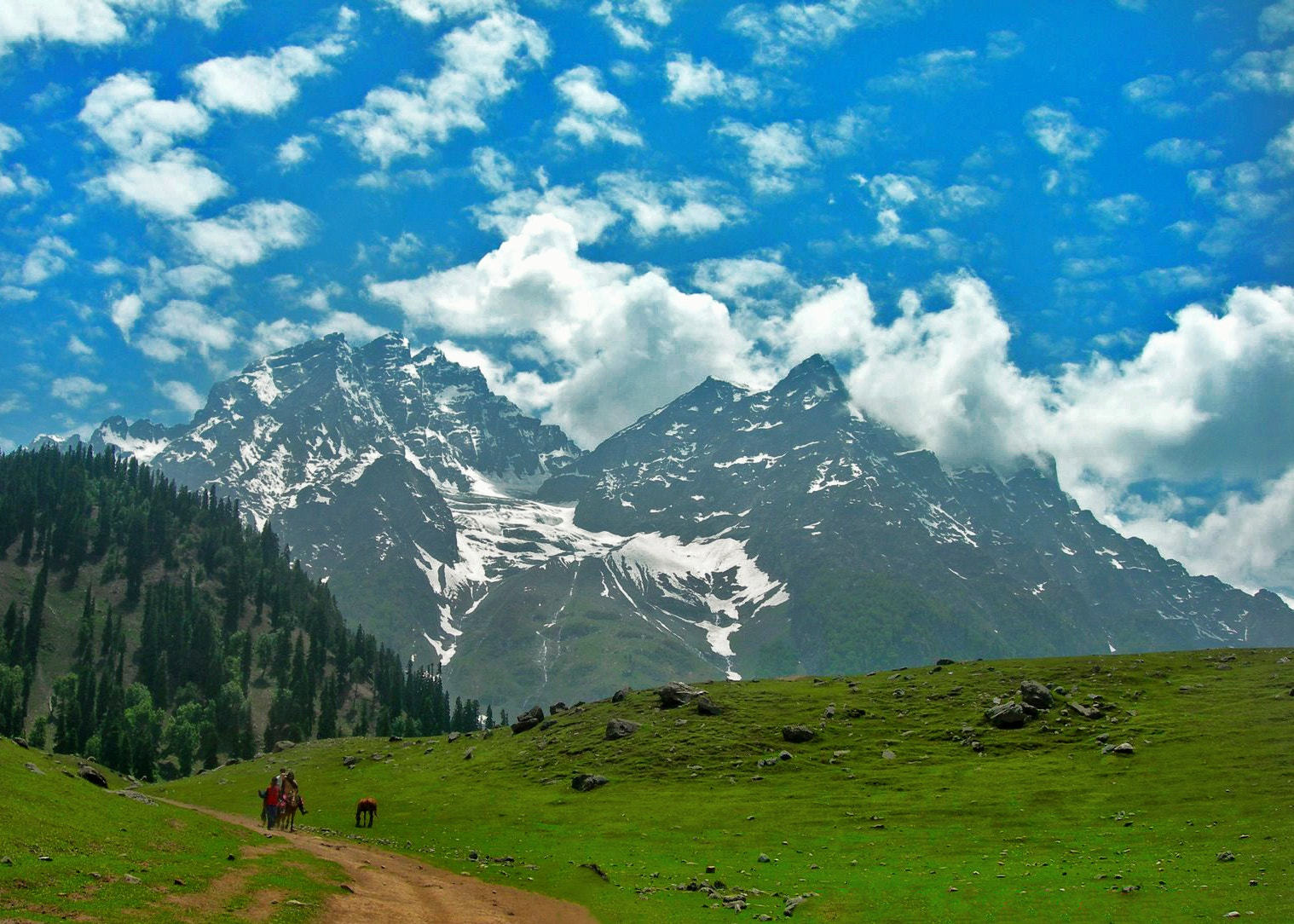 Nikon E7900 sample photo. The hills | jammu and kashmir photography