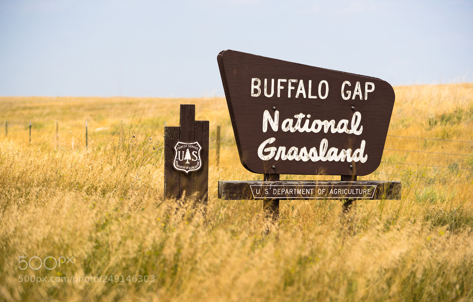Sony a7 sample photo. Buffalo gap forest grassland photography