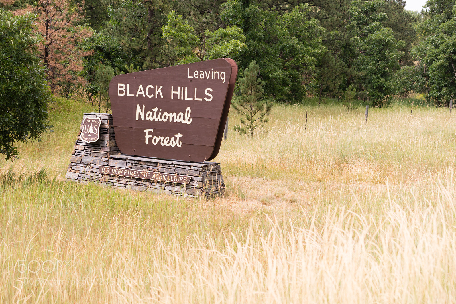 Sony a7 sample photo. Black hills national forest photography