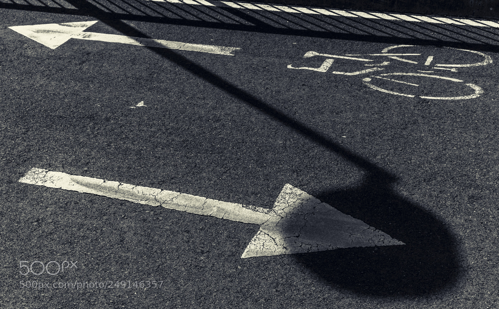 Pentax K-50 sample photo. In-motion photography