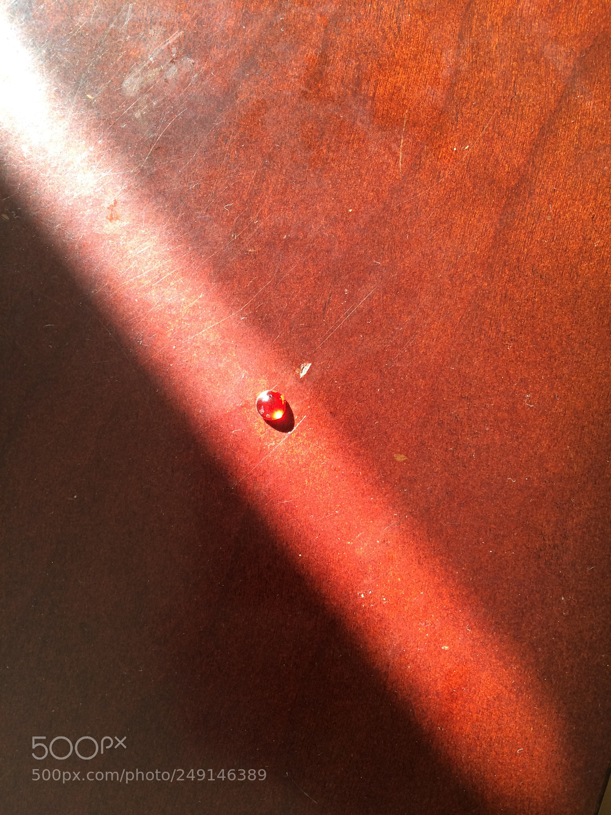 Apple iPhone 5s sample photo. Day 71 of an photography