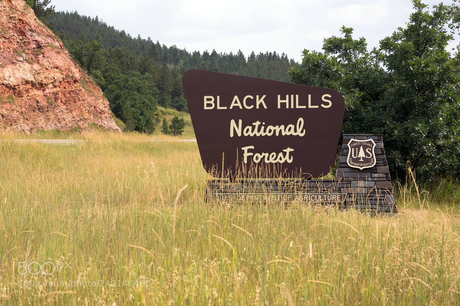 Sony a7 sample photo. Black hills national forest photography