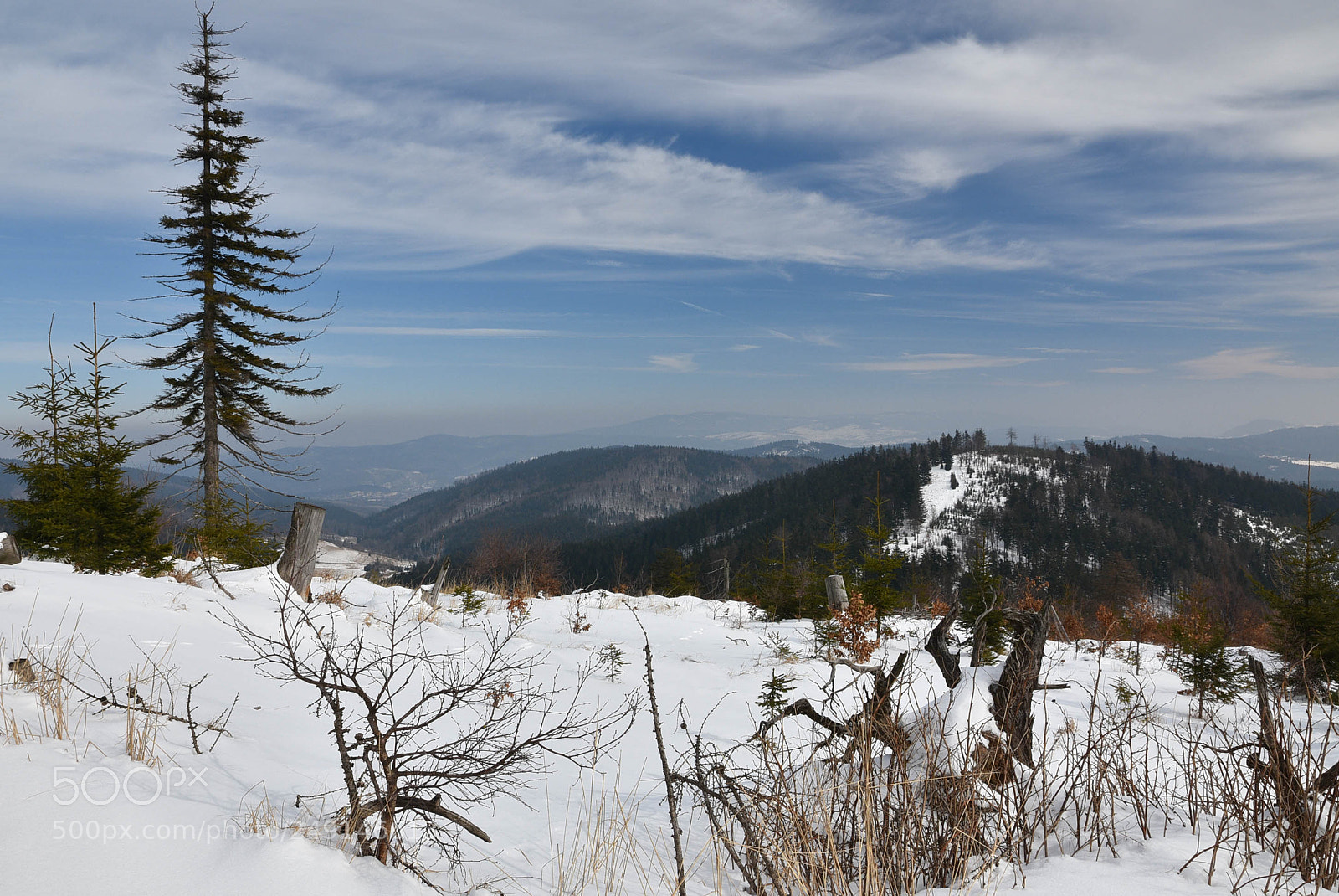 Nikon D7200 sample photo. Untitled photography