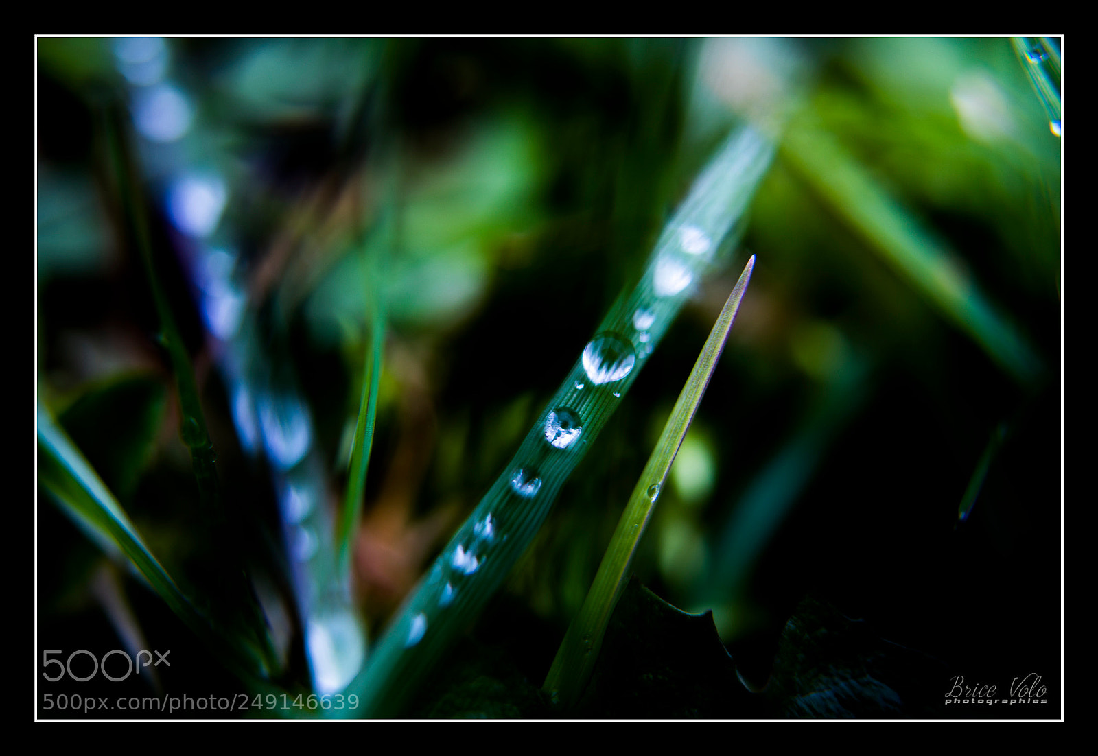 Canon EOS 5DS sample photo. Fraicheur matinale photography
