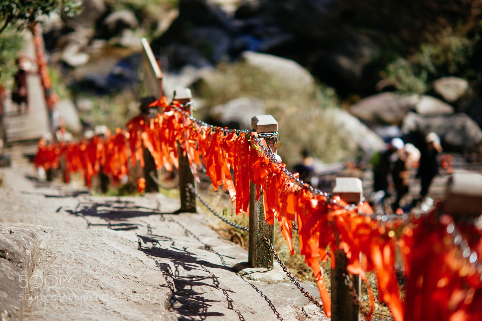 Sony Alpha DSLR-A900 sample photo. Red footpath photography