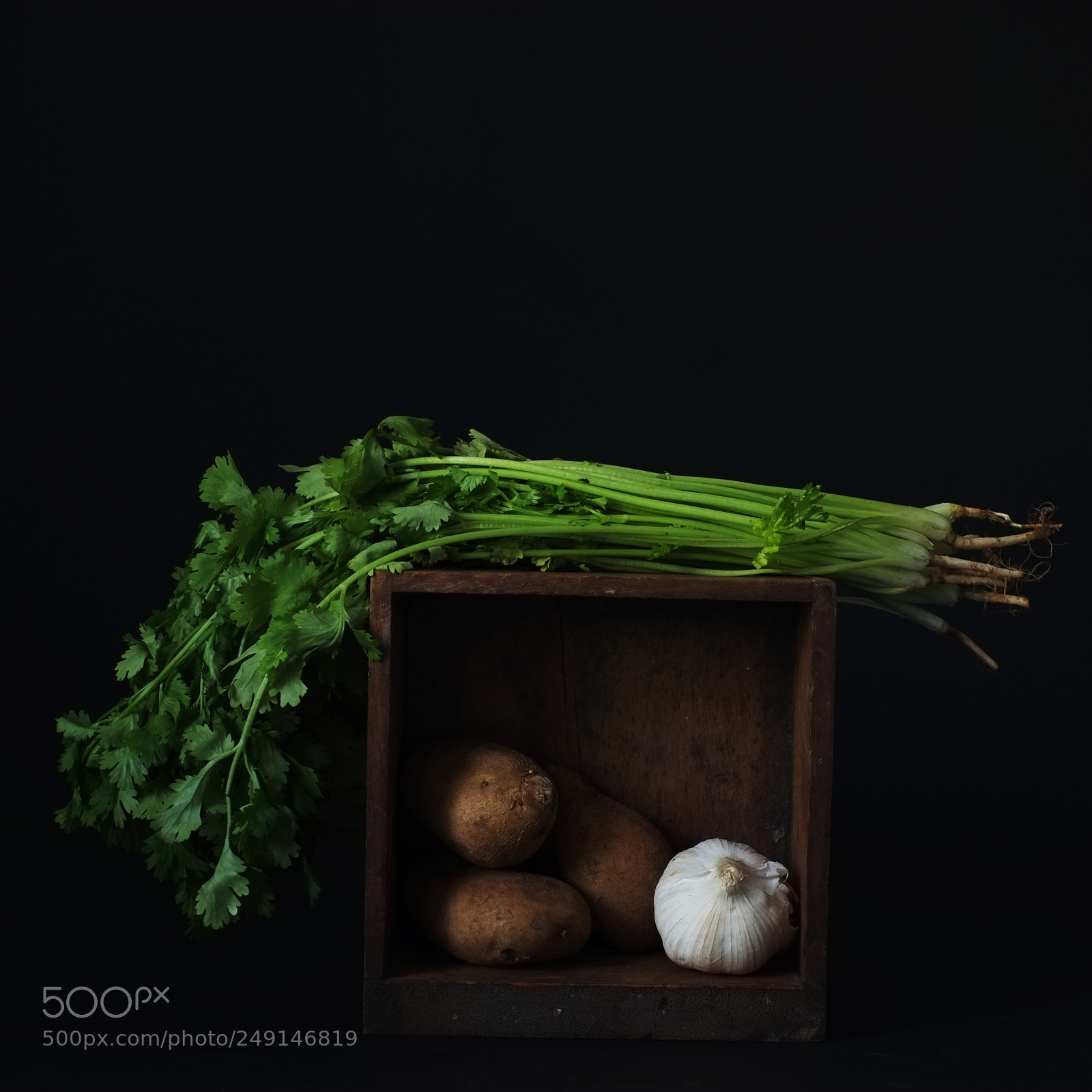 Fujifilm X-E1 sample photo. Still life with corriander photography