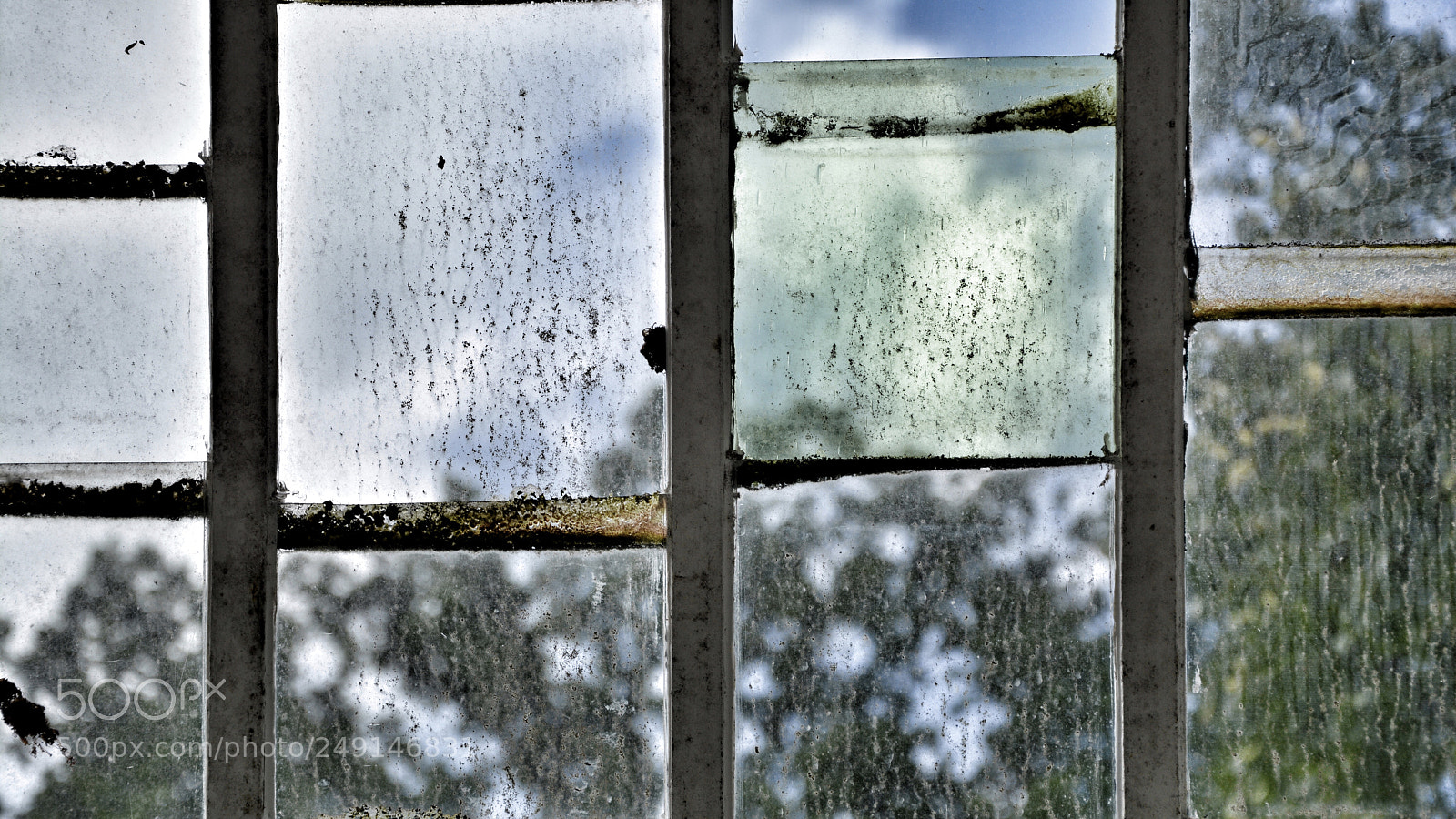 Nikon D7100 sample photo. Untitled photography