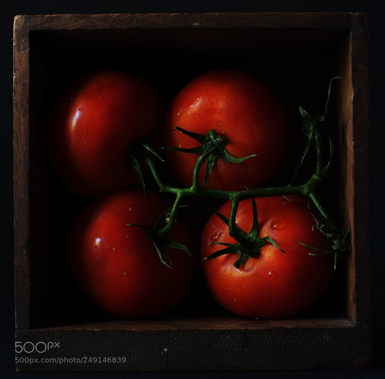 Fujifilm X-E1 sample photo. Still life with tomatoes photography
