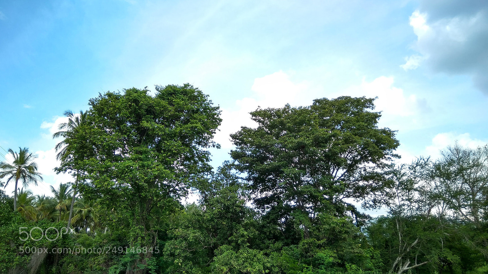 Xiaomi Redmi 4A sample photo. Twin towers photography