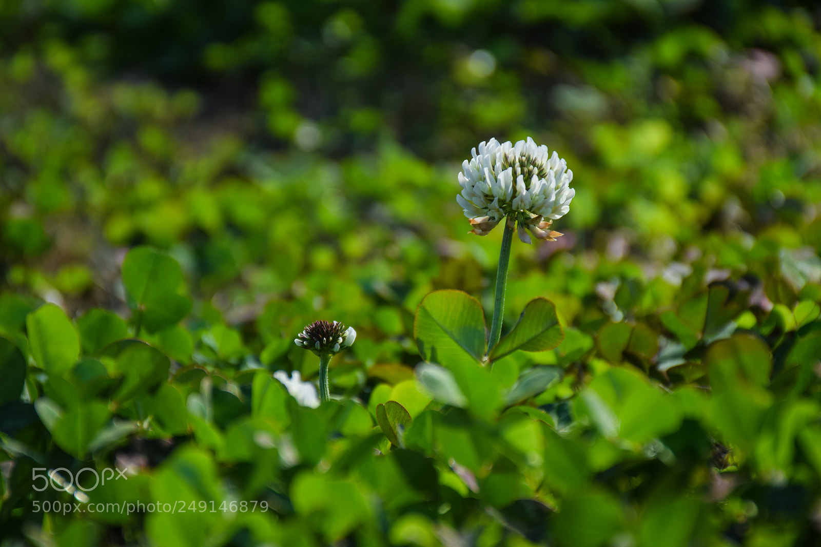 Nikon D5300 sample photo. Untitled photography