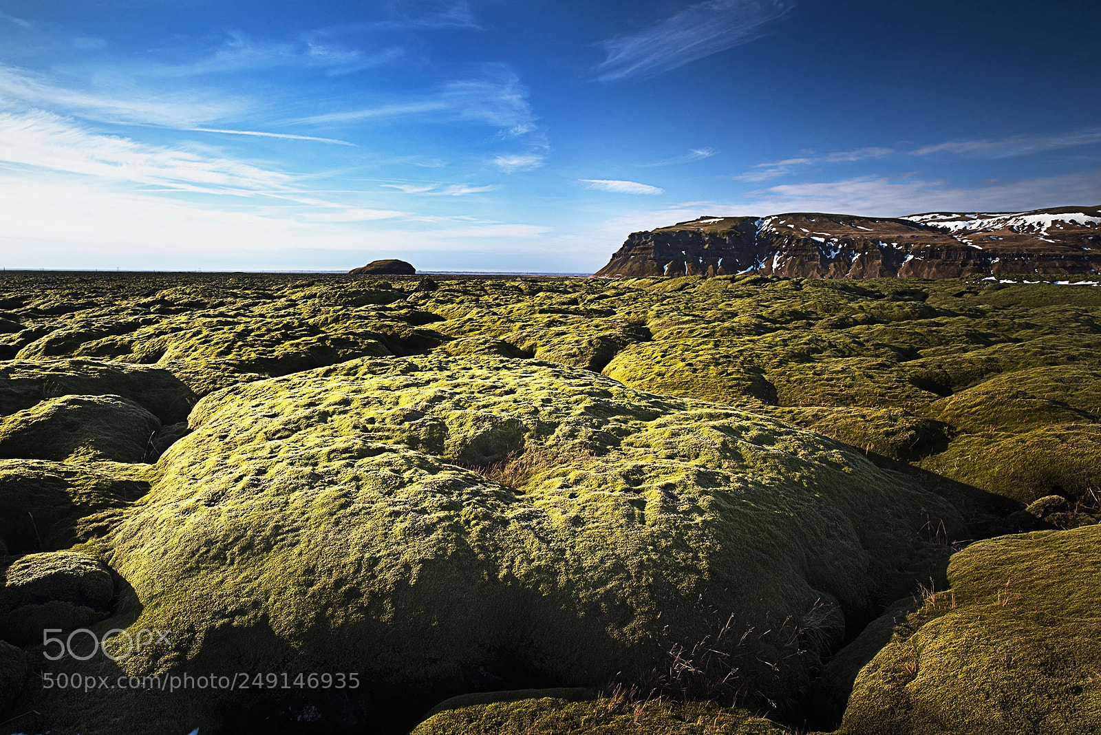 Nikon D810 sample photo. Green photography