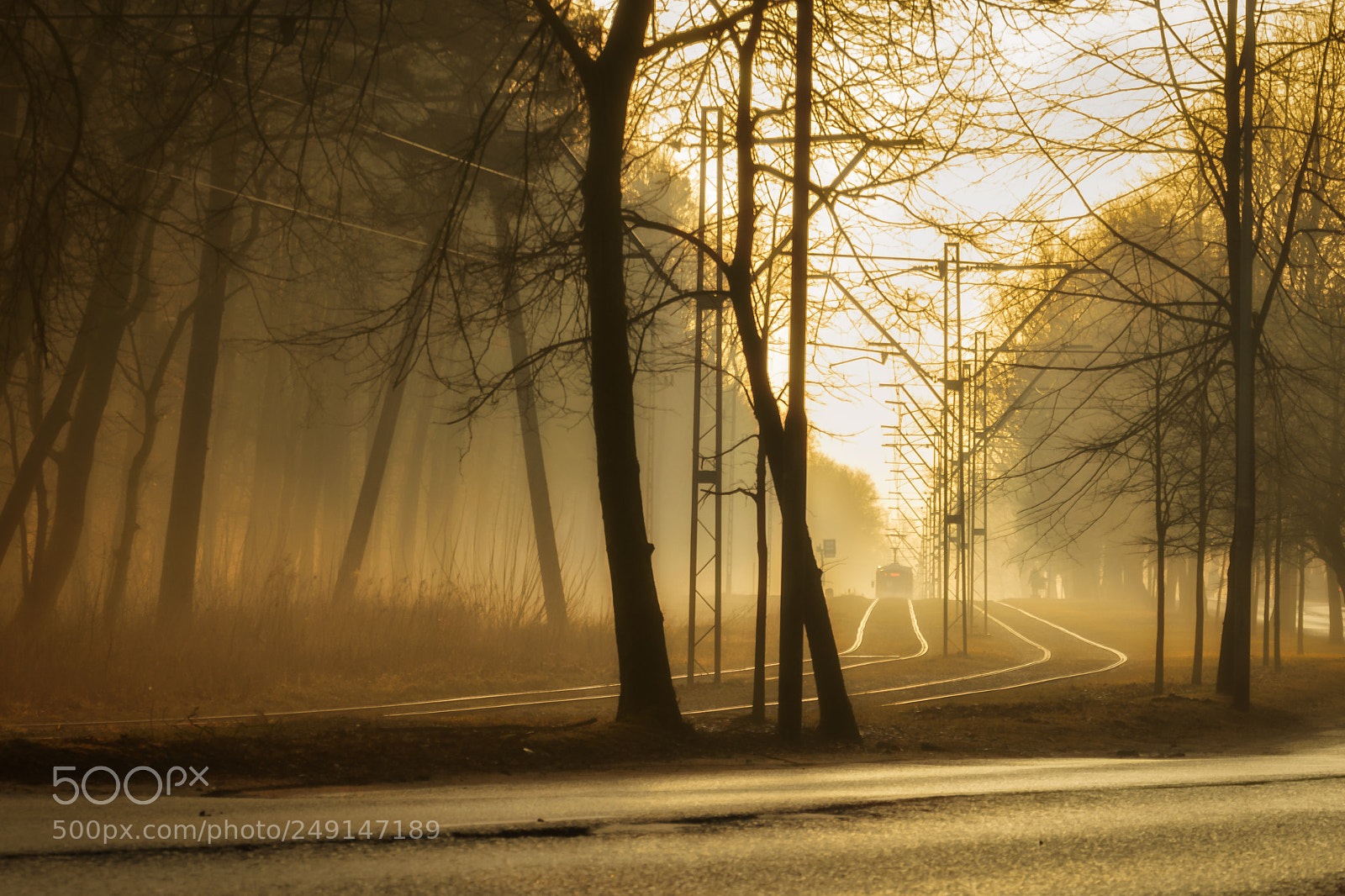 Nikon D5300 sample photo. Szczecin tram photography