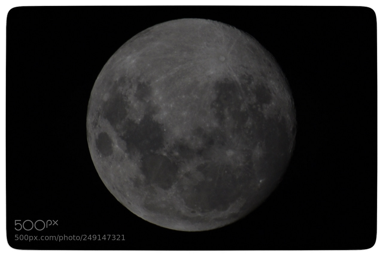 Nikon D5300 sample photo. Moon photography