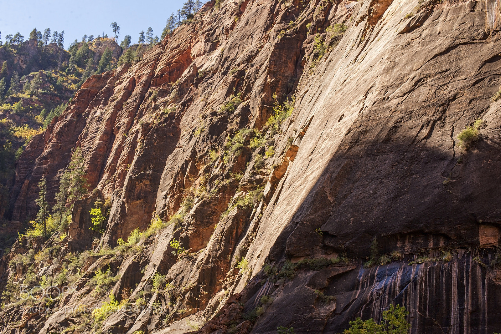 Nikon D600 sample photo. Cliffside! (1) photography