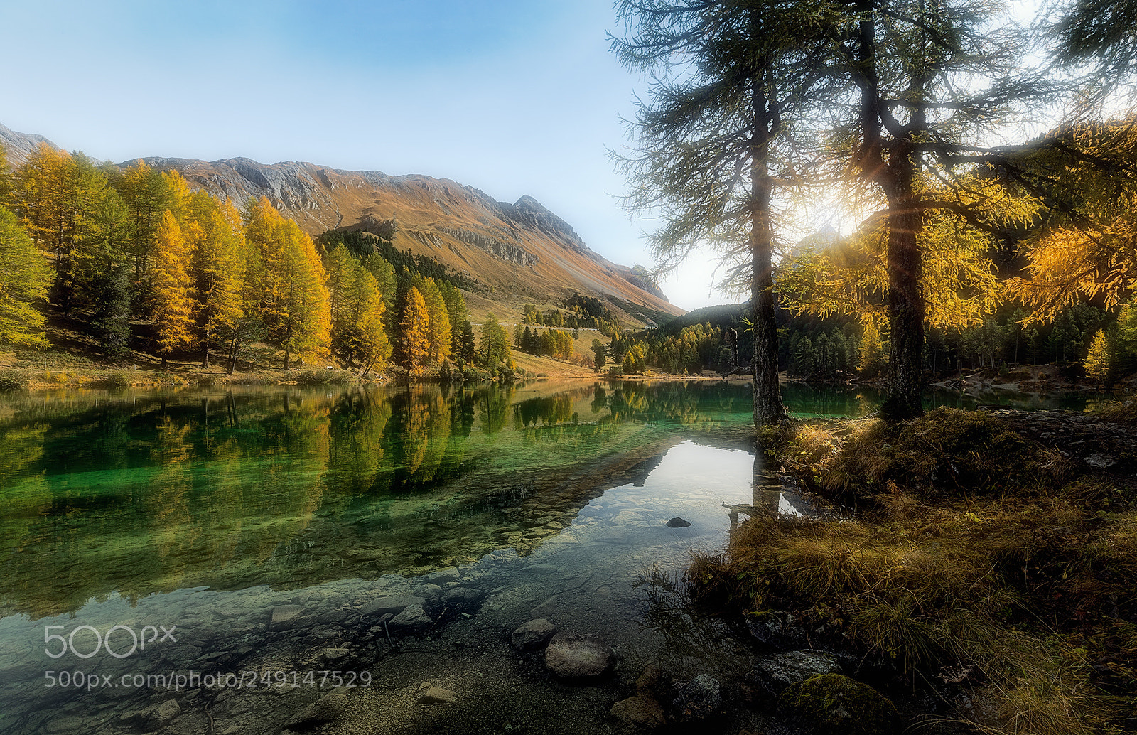Canon EOS-1D X Mark II sample photo. A wonderful autumn morning photography